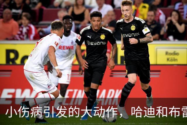小伤病引发的大动作，哈迪和布雷斯韦特闪亮登场！