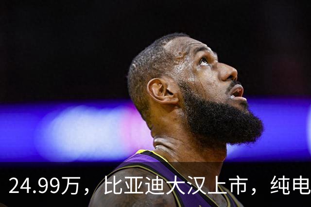 24.99万，比亚迪大汉上市，纯电1008km+车长超5米2